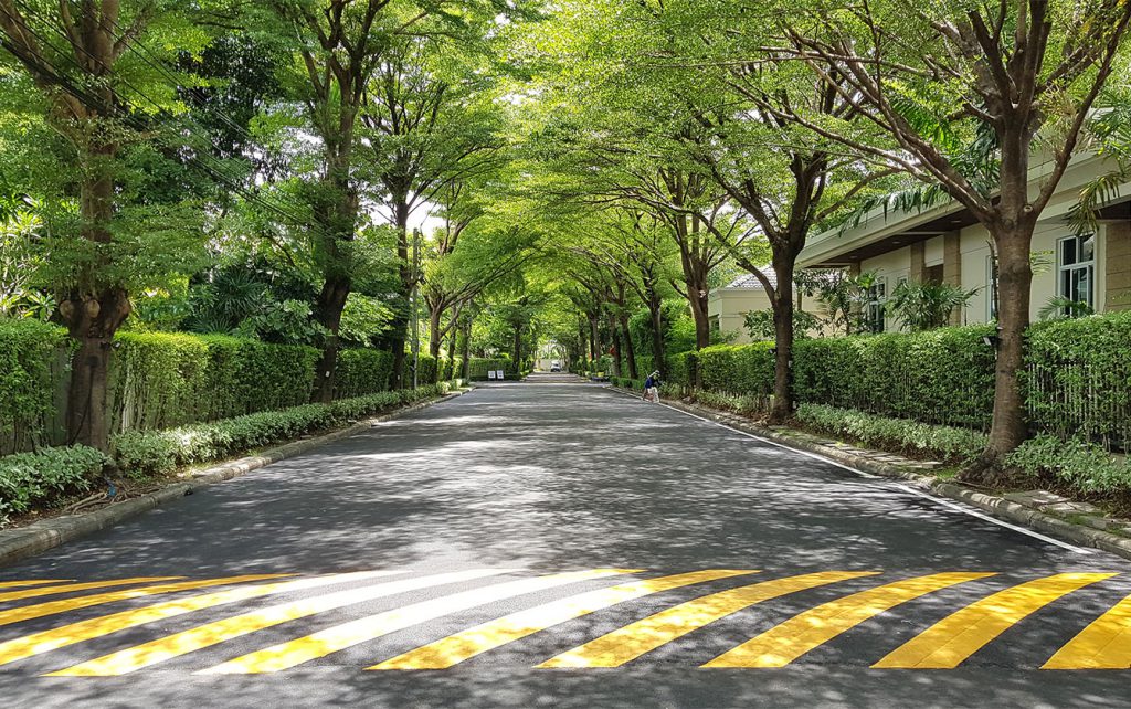 ถนนภายใน หมู่บ้านจัดสรร