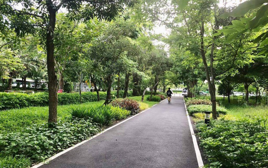 ทางจักรยาน มหาวิทยาลัยธรรมศาสตร์รังสิต