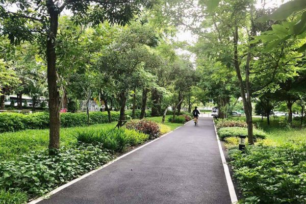 ทางจักรยาน มหาวิทยาลัยธรรมศาสตร์รังสิต